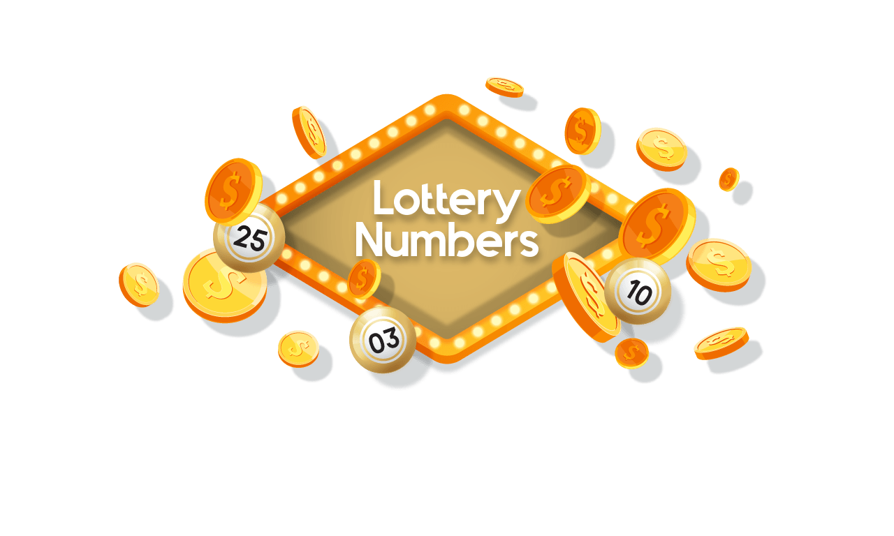 Lottery Numbers